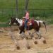 Extreme Cowboy Race 2013