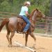 Extreme Cowboy Race 2013