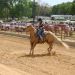 Extreme Cowboy Race 2013